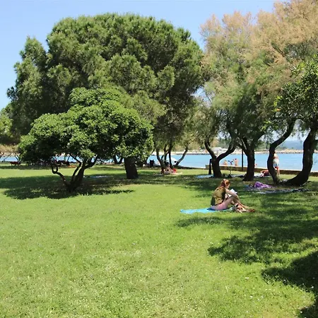 Igor A2+1 * Novigrad Istria